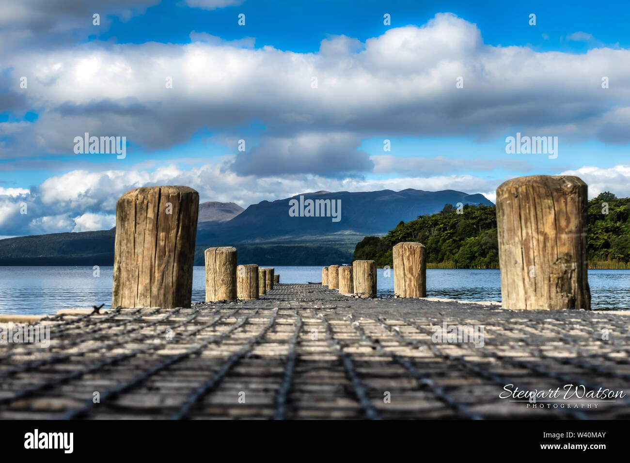 In basso vista dal lago Tarawera jetty Foto Stock