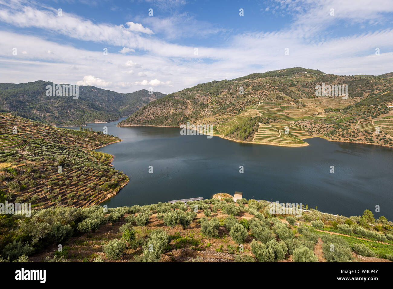 Vista panoramica di Alto Douro Vinhateiro con terrazze e vigneti Foto Stock