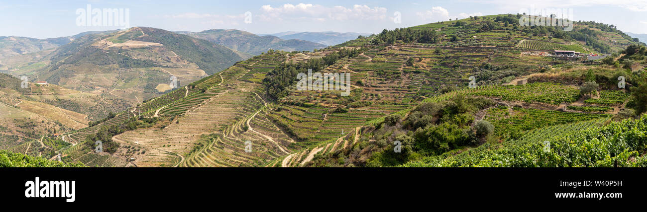 Vista panoramica di Alto Douro Vinhateiro con terrazze e vigneti Foto Stock