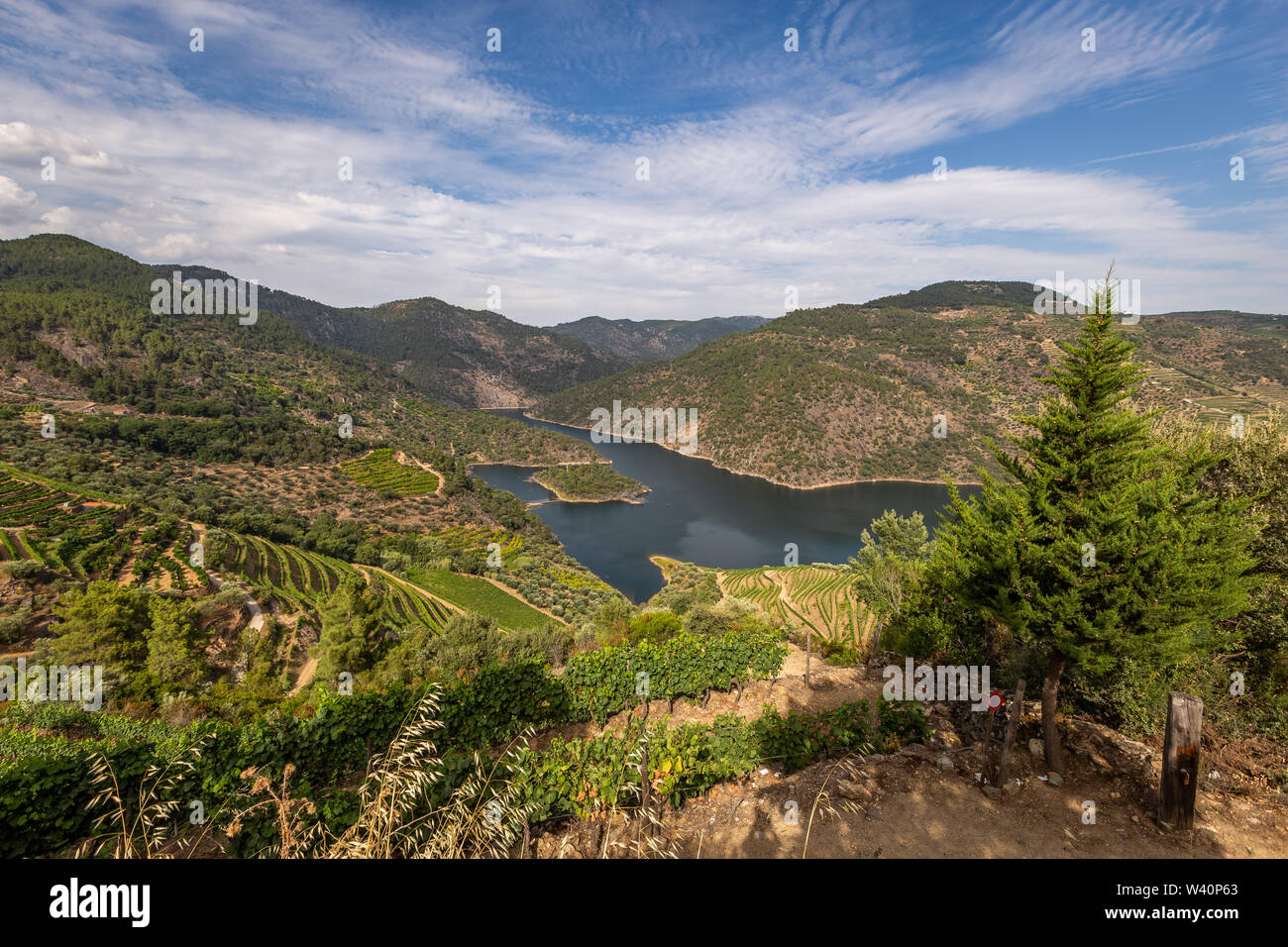 Vista panoramica di Alto Douro Vinhateiro con terrazze e vigneti Foto Stock