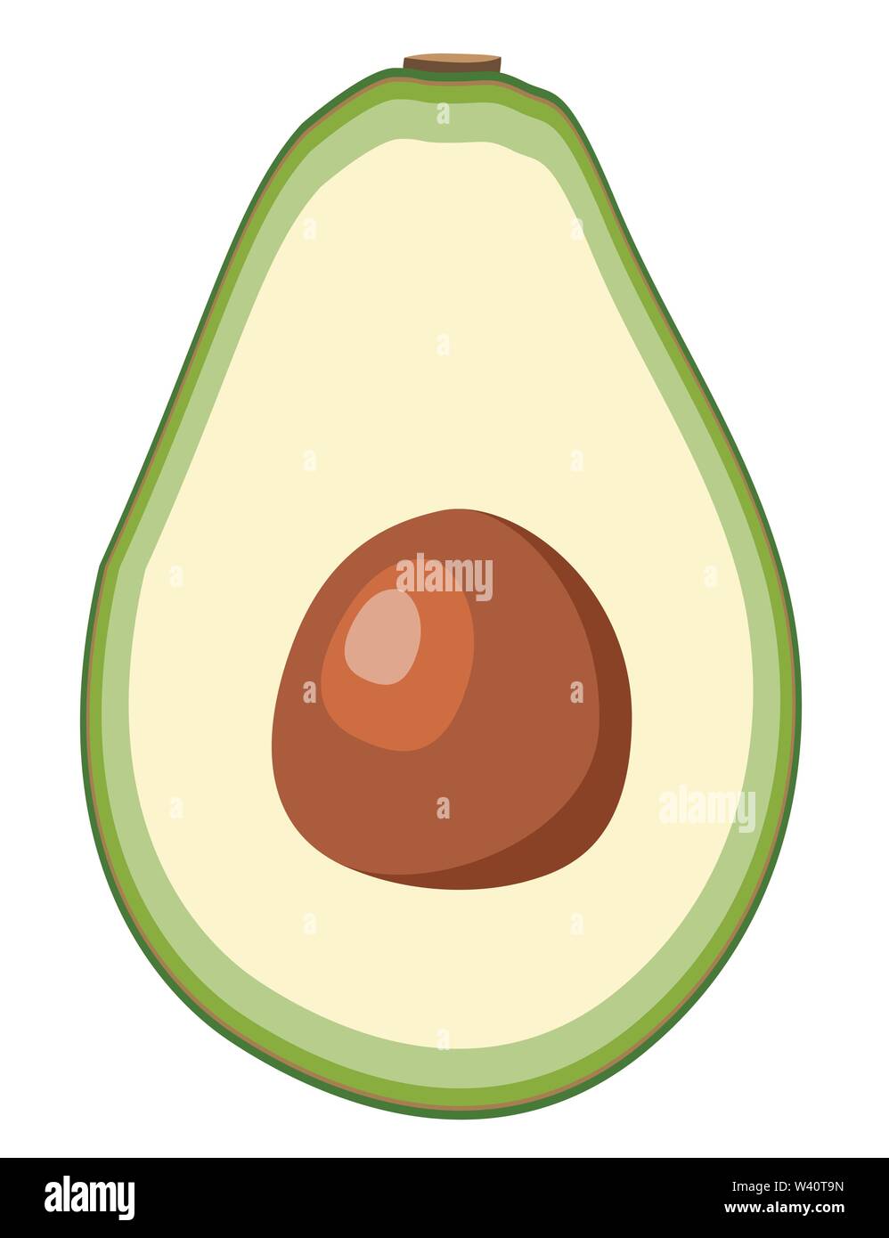 Avocado, frutta illustrazioni vettoriali. Illustrazione Vettoriale