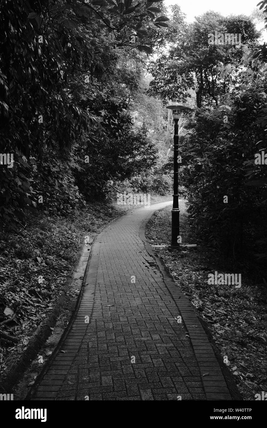 Una lampada posta su un percorso in un parco. Foto Stock