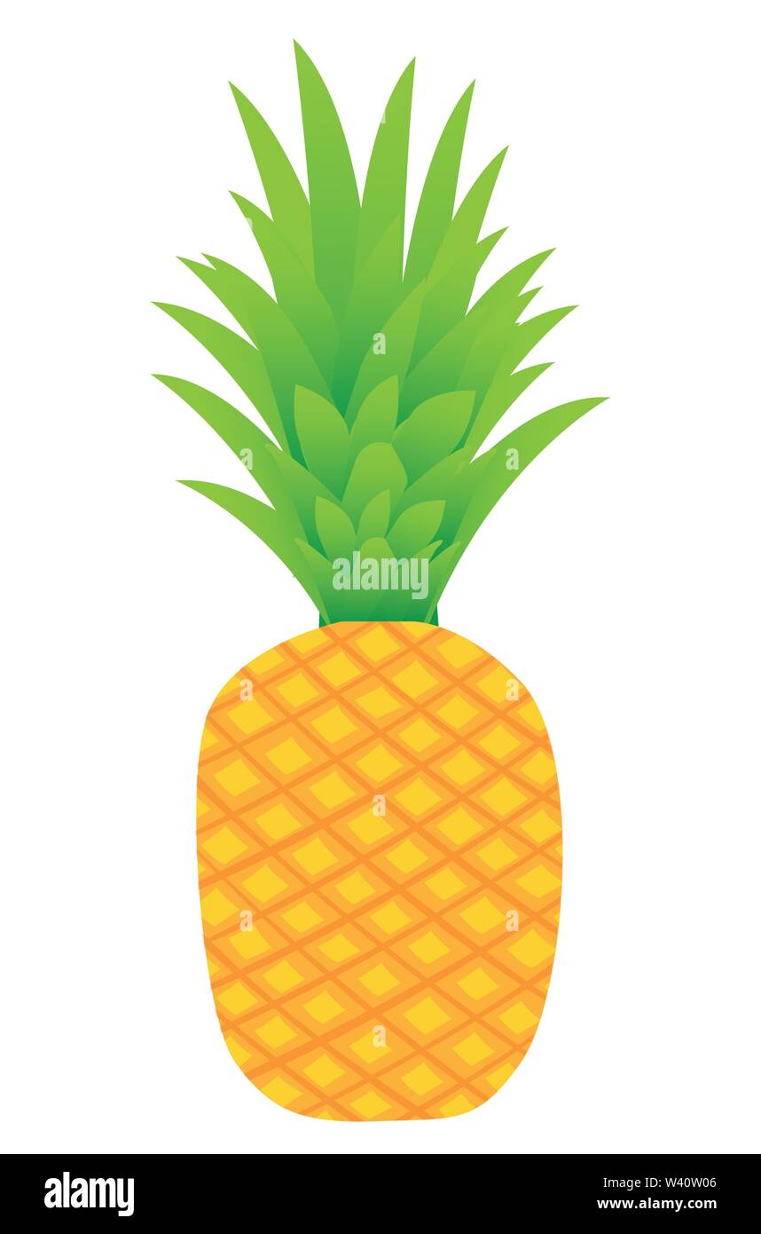 Ananas frutta illustrazioni vettoriali. Illustrazione Vettoriale
