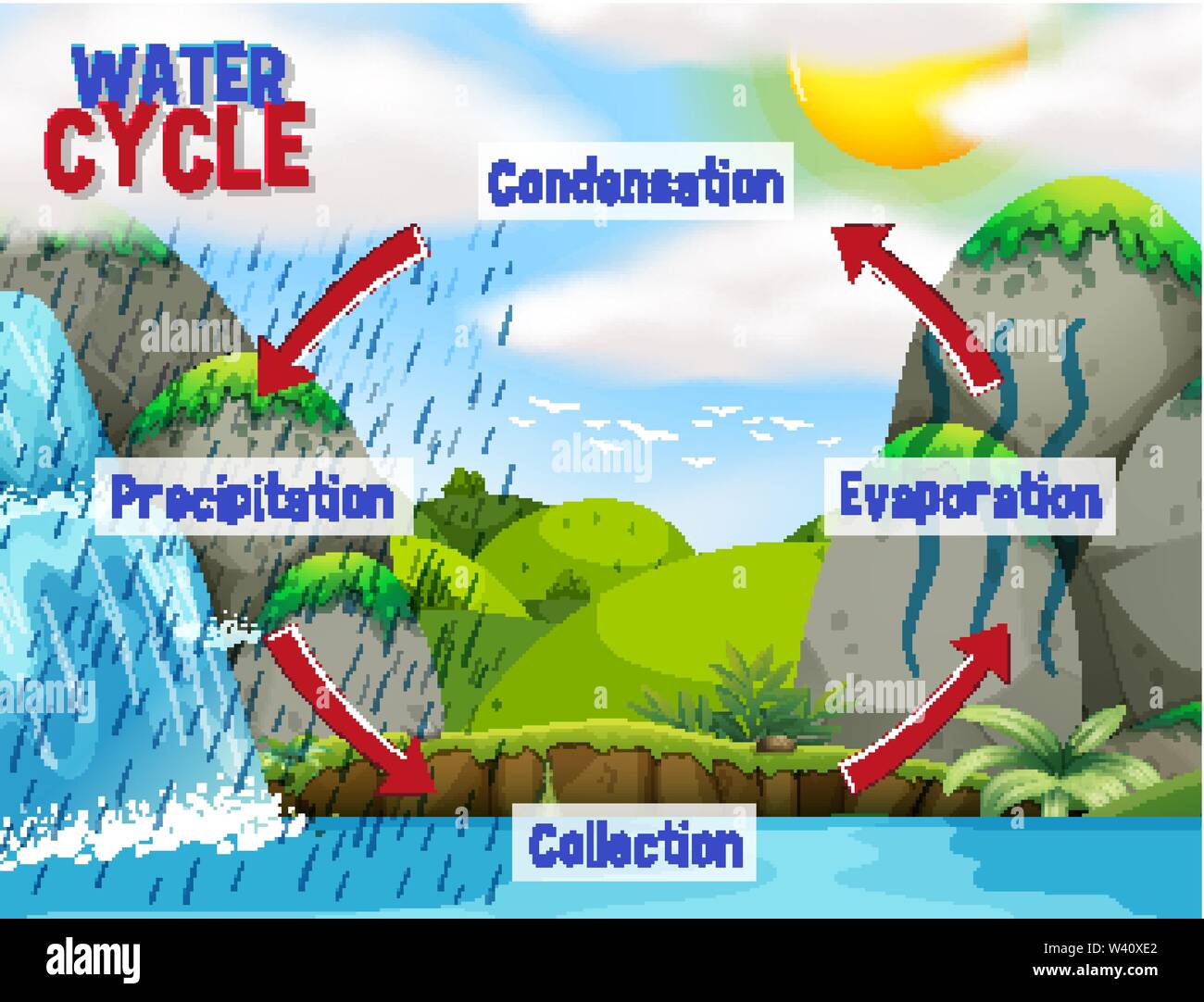 Illustrazione di un ciclo dell'acqua schema Illustrazione Vettoriale
