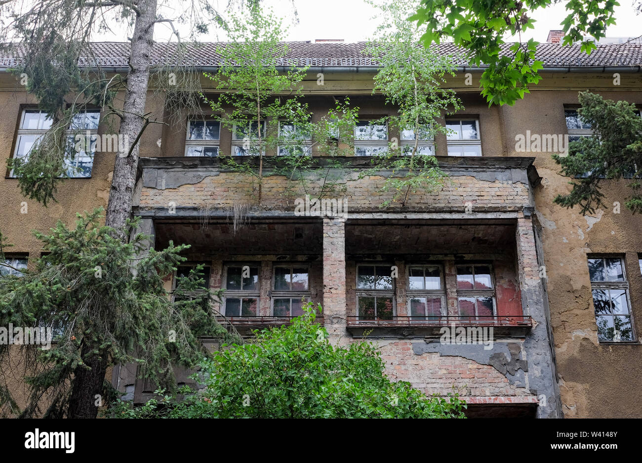 Berlino, Germania. Il 15 luglio 2019. Vacante, fatiscente edifici residenziali nell'angolo Loreleystraße Ehrenfelsstraße in Karlshorst. Gli alberi crescono dai balconi delle case. Si tratta di un ex blocco di appartamenti dell'Armata Rossa. Credito: Jens Kalaene/dpa-Zentralbild/ZB/dpa/Alamy Live News Foto Stock