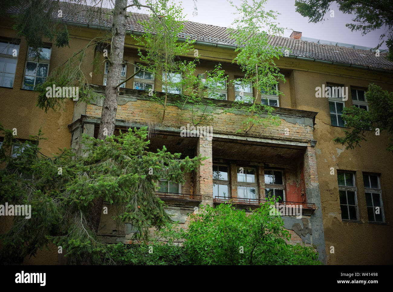 Berlino, Germania. Il 15 luglio 2019. Vacante, fatiscente edifici residenziali nell'angolo Loreleystraße Ehrenfelsstraße in Karlshorst. Gli alberi crescono dai balconi delle case. Si tratta di un ex blocco di appartamenti dell'Armata Rossa. Credito: Jens Kalaene/dpa-Zentralbild/ZB/dpa/Alamy Live News Foto Stock