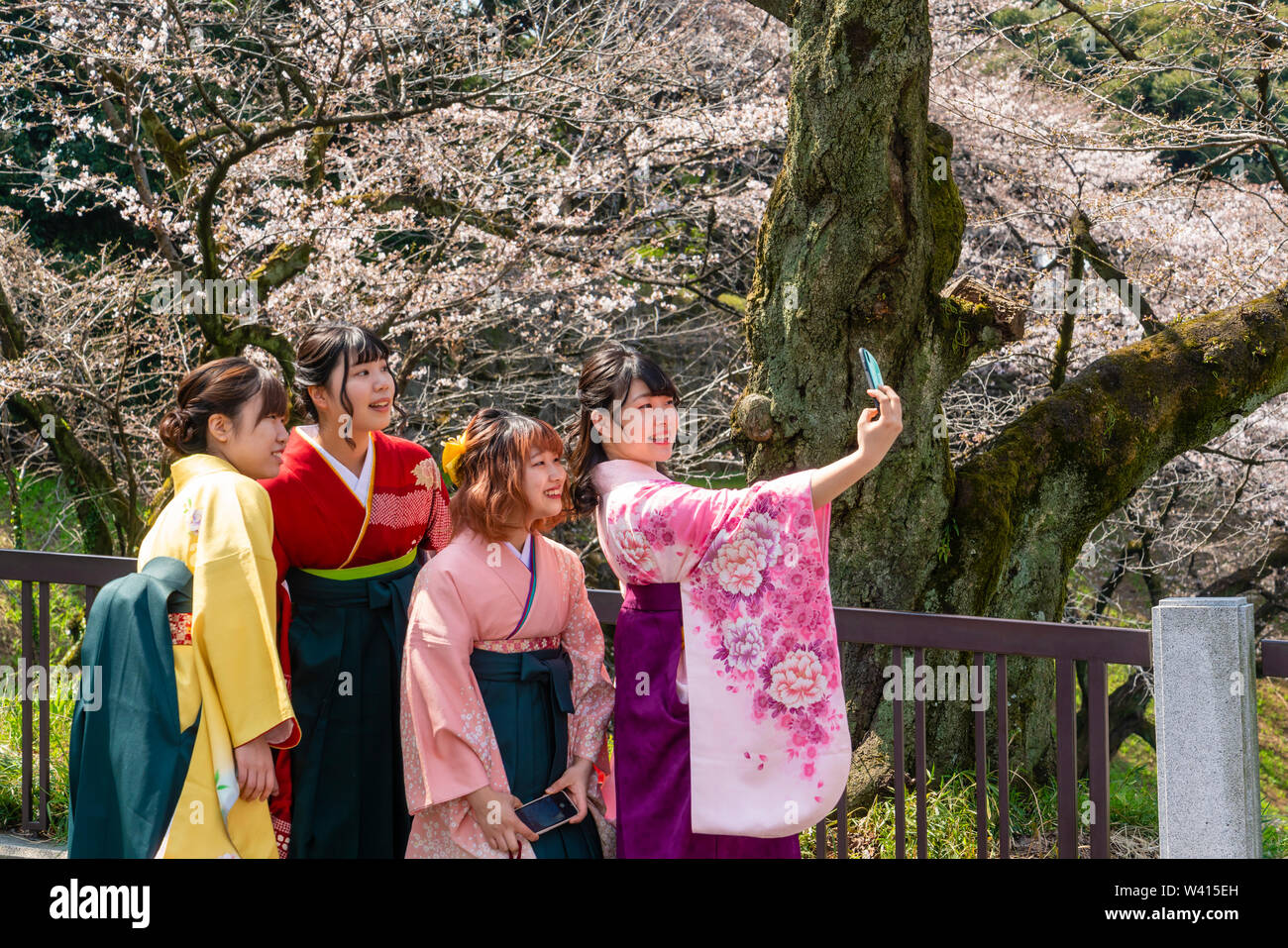 Giovani donne giapponesi in kimono prendendo selfie durante la fioritura dei ciliegi stagione Foto Stock