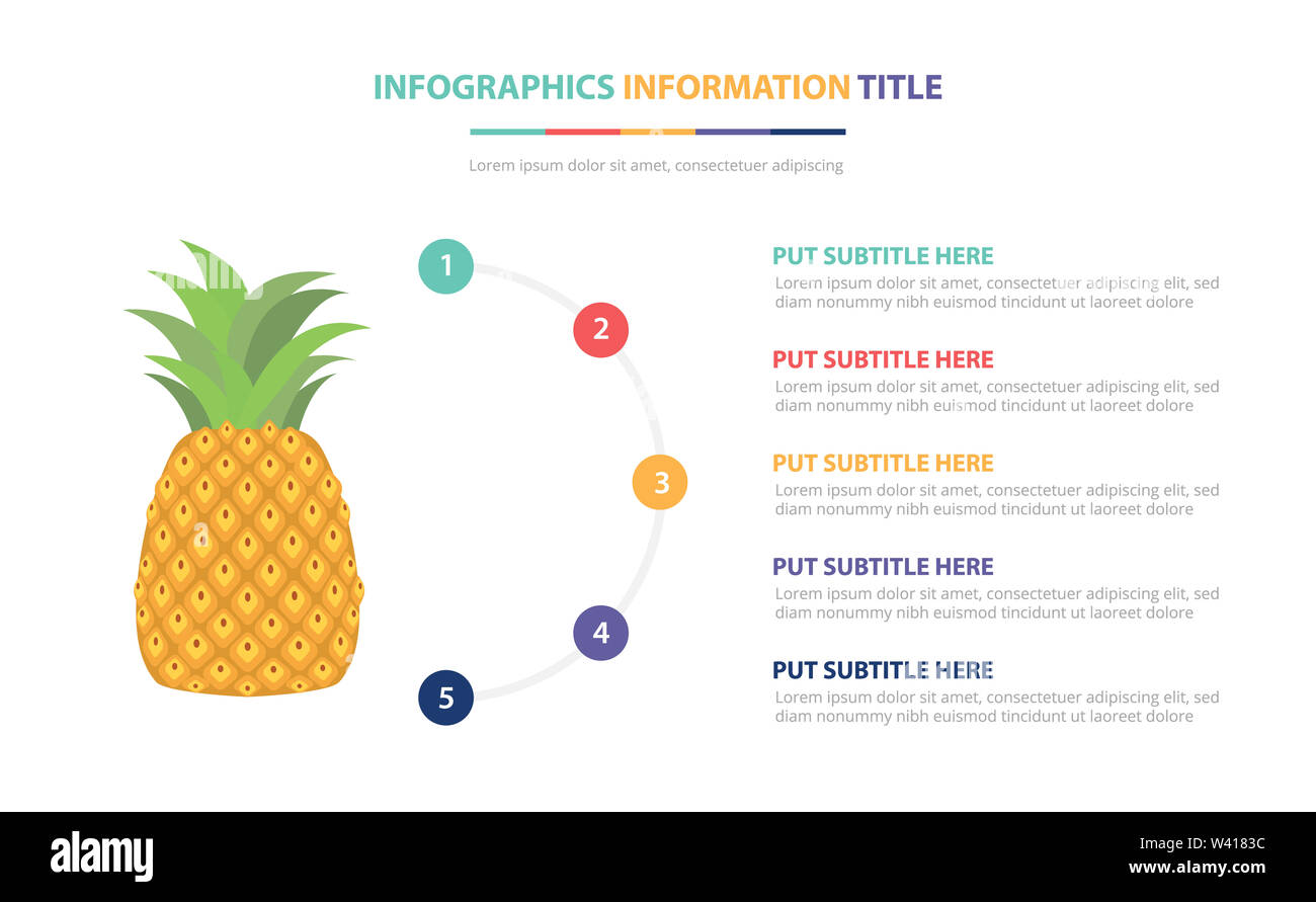 Ananas frutta ed infografico concetto di modello con cinque punti elenco e di vari colori con pulito e moderno sfondo bianco - illustrazione vettoriale Foto Stock
