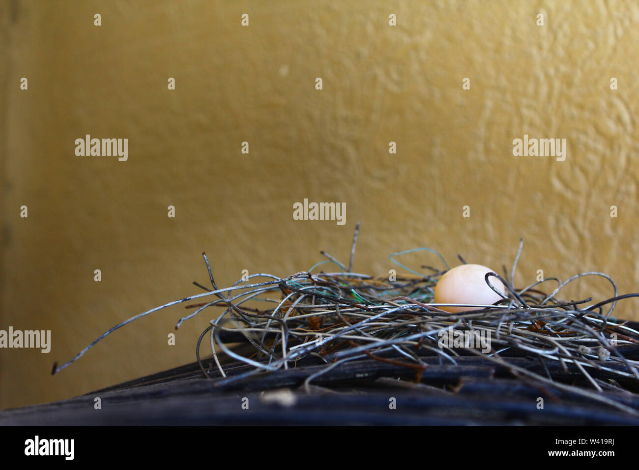 Ambiente serie natura Foto Stock