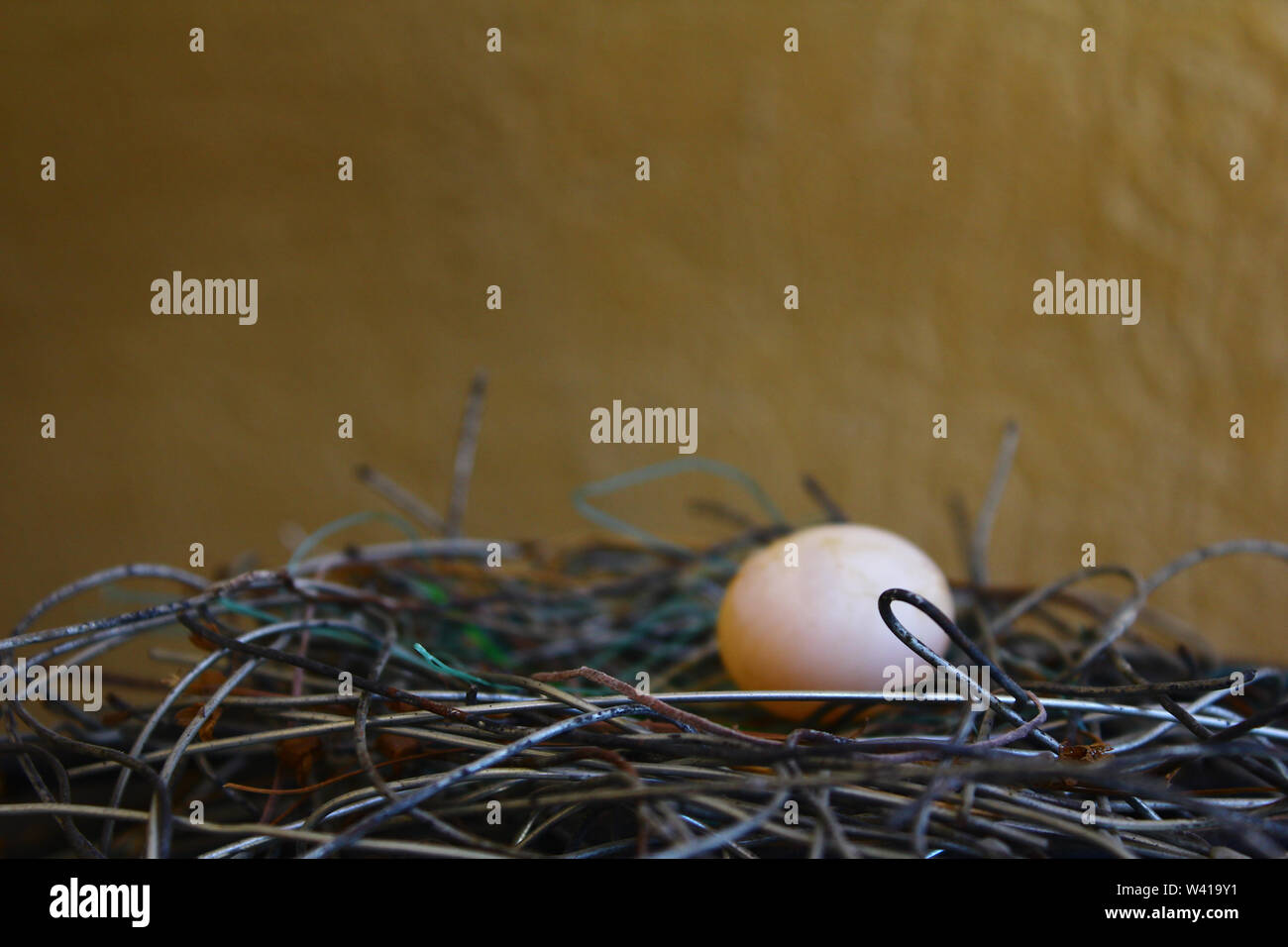 Ambiente serie natura Foto Stock