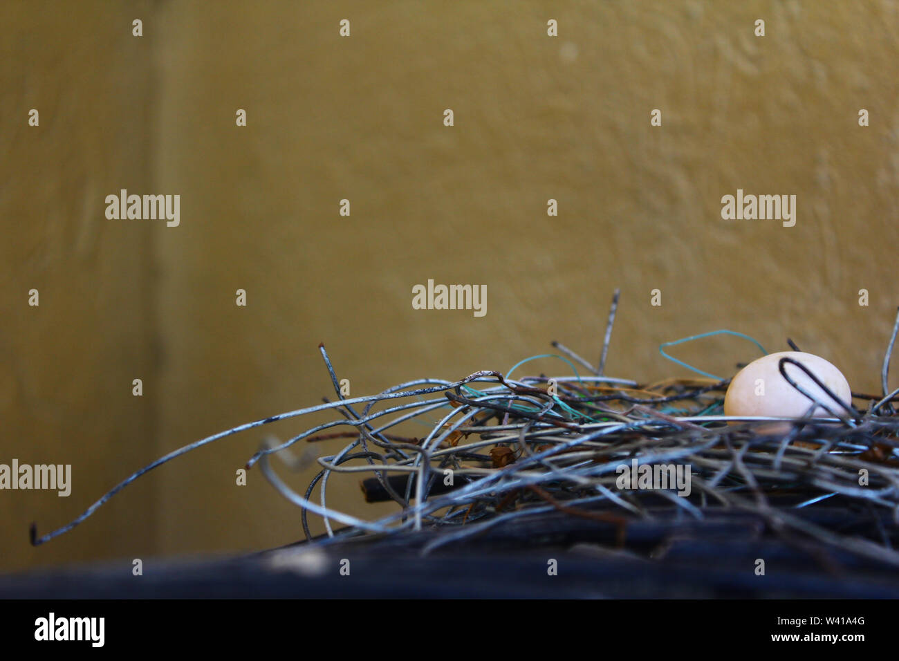 Ambiente serie natura Foto Stock