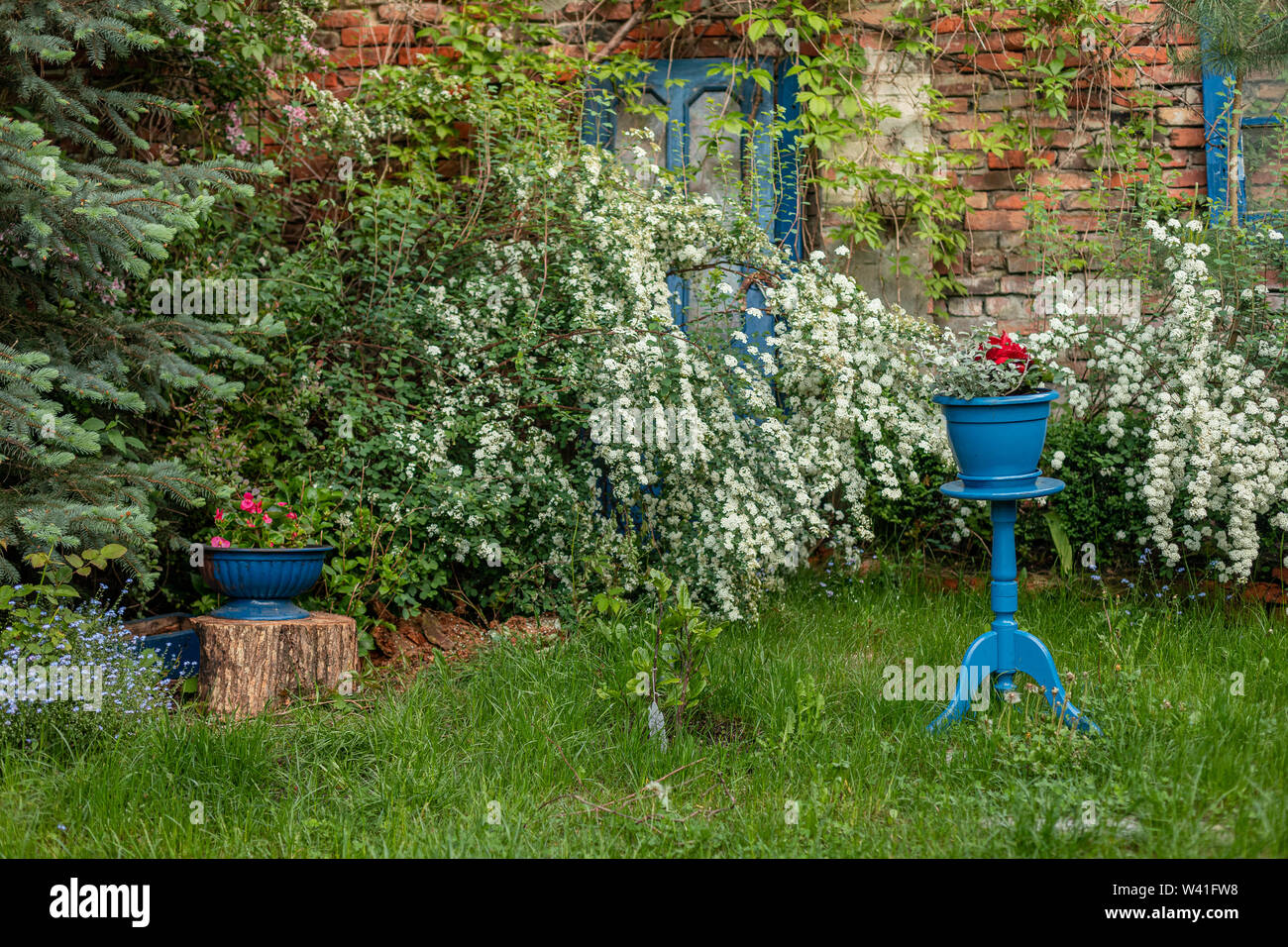 Maggio in giardino. Il polacco può in giardino. Serata primaverile. La Polonia Mazovia. Un accento blu nel giardino. Foto Stock