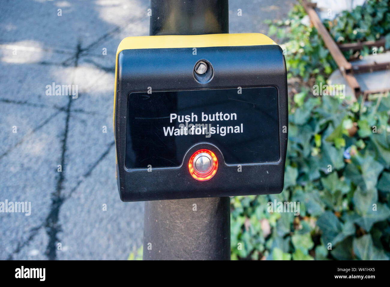 Premere il pulsante e attendere per dispositivo di segnale di attraversamento pedonale in via di Bristol, Regno Unito Foto Stock