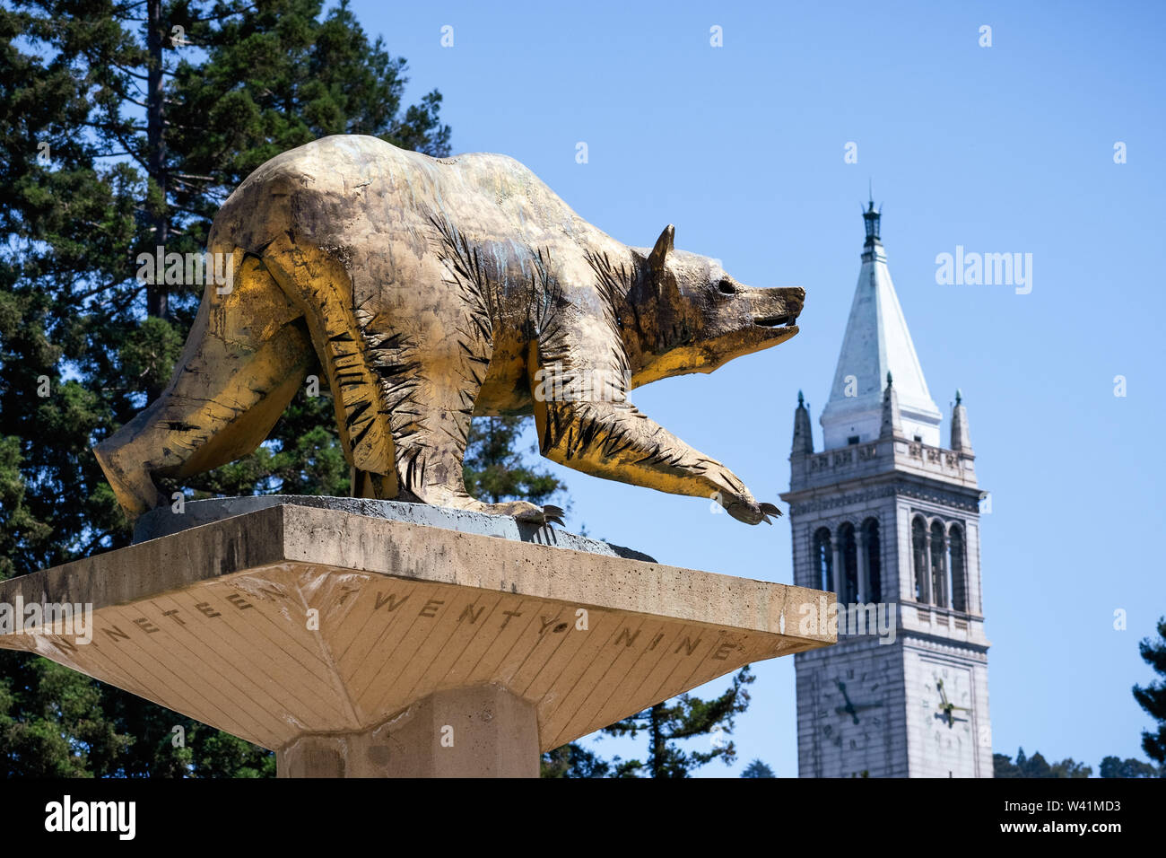 Luglio 13, 2019 Berkeley / CA / STATI UNITI D'AMERICA - L'Orso d'oro statua su UC Berkeley campus, simbolo della UC Berkeley e le sue squadre atletiche, la California Golden Bear Foto Stock