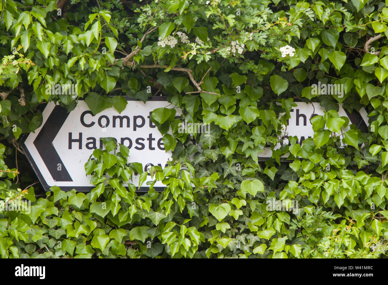 Villaggio cartelli stradali quasi offuscato da ricoperta di edera Aldworth, Berkshire Foto Stock