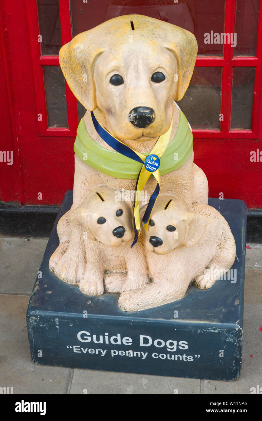 Una strada vecchia scatola di raccolta sotto forma di un labrador e cuccioli di cani guida per ciechi contrassegnati 'cani guida, ogni centesimo conta' Foto Stock