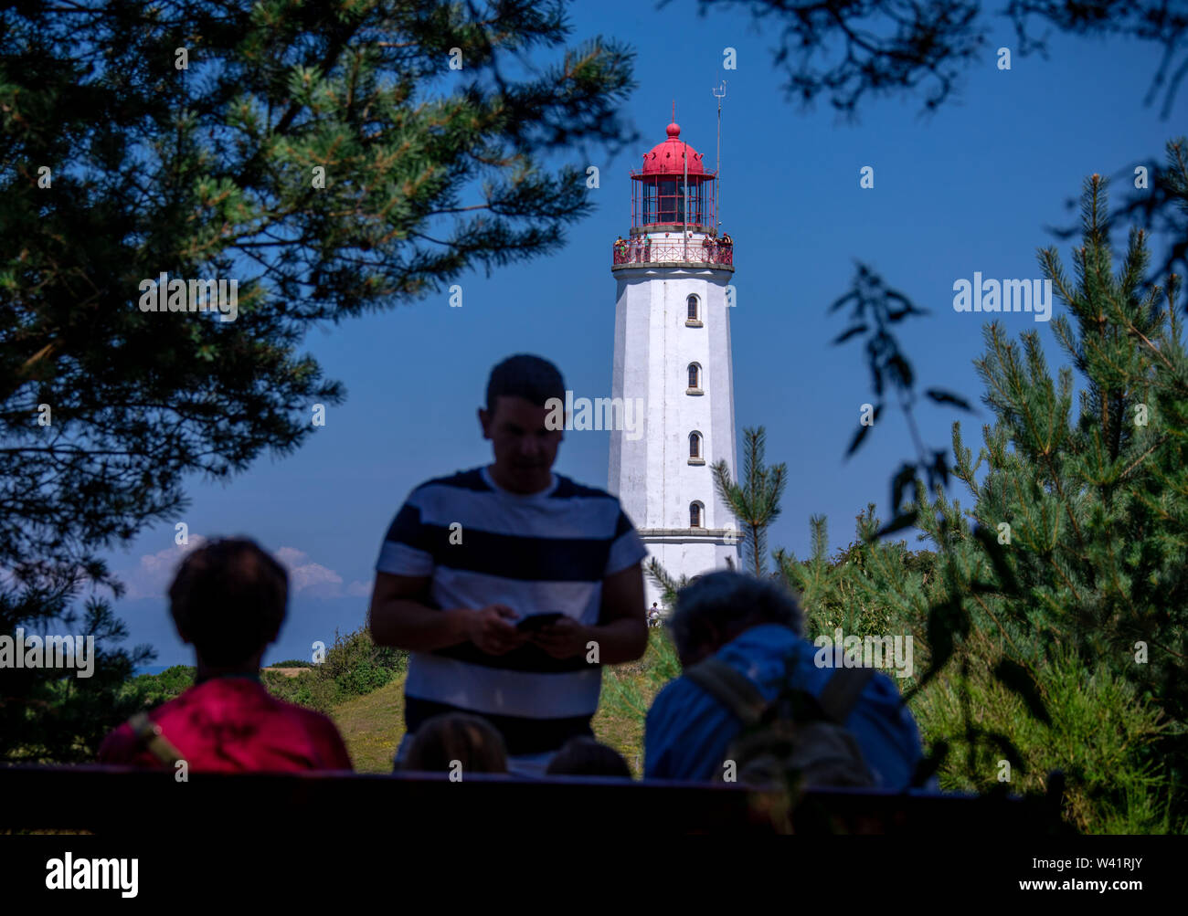 12 luglio 2019, Meclemburgo-Pomerania, Kloster: Il faro di isola di Hiddensee nel Mar Baltico. Il faro è stato costruito nel 1887/1888 come un edificio di mattoni, ha un'altezza di 27,5 metri e un'altezza di 94,7 metri al di sopra del livello medio del mare del Mar Baltico. Migliaia di turisti e di giorno gli ospiti sono contate giornalmente sull'isola durante i mesi estivi. Hiddensee è in gran parte senza auto e del cavallo e del carrello è largamente utilizzato per il mezzo di trasporto. Hiddensee è di circa 16,8 chilometri, in corrispondenza del suo punto più stretto di circa 250 metri di larghezza e nella sua più ampia circa 3,7 km di larghezza. Entro il Na Foto Stock