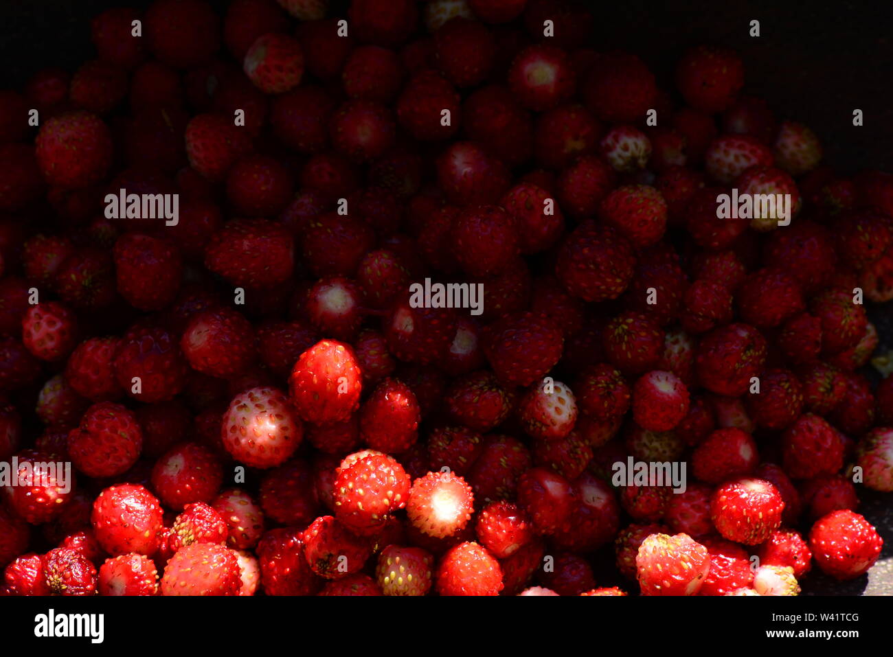 Fragole acini gustosi alimenti frutta fresca vitamina dessert Foto Stock