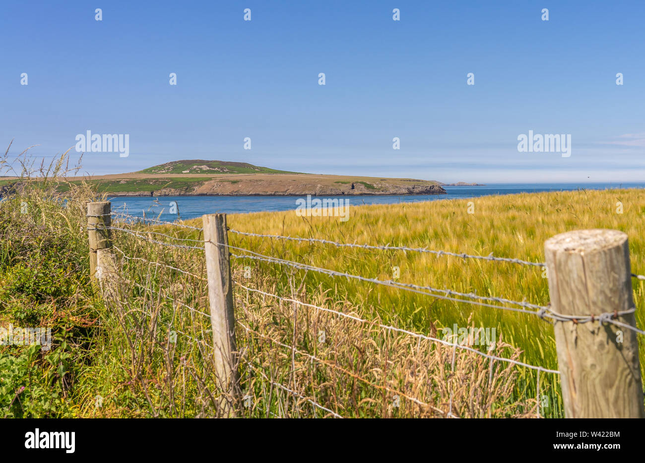 Una vista su Ramsey suono e verso Ramsey Island da le cime della scogliera a St Justinians, Pembrokeshire, Galles Foto Stock