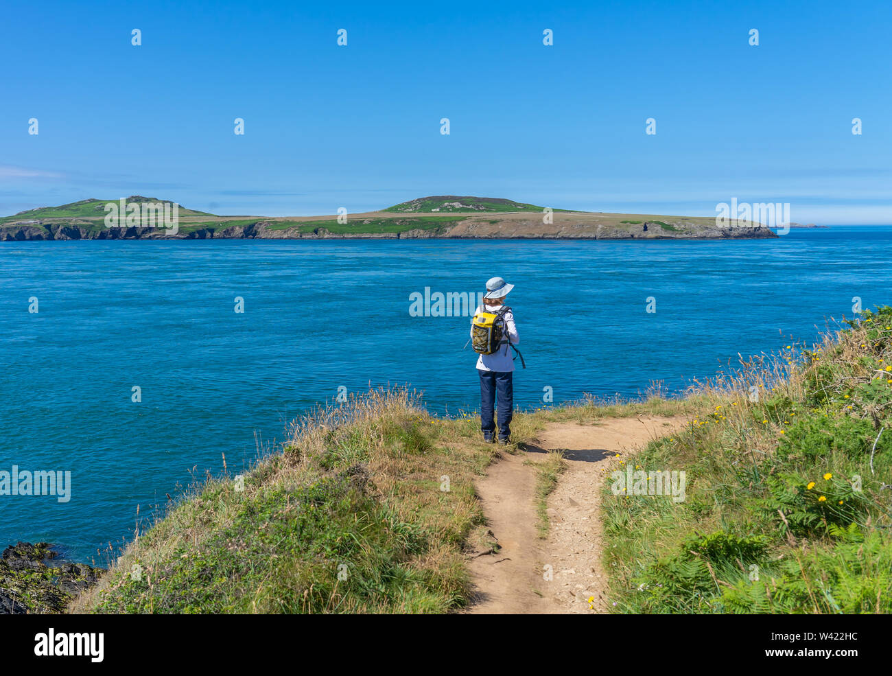 Lone avventuriero permanente sulla rupe in St Justinians affacciato su Ramsey suono verso Ramsey Island RSPB riserva naturale Foto Stock