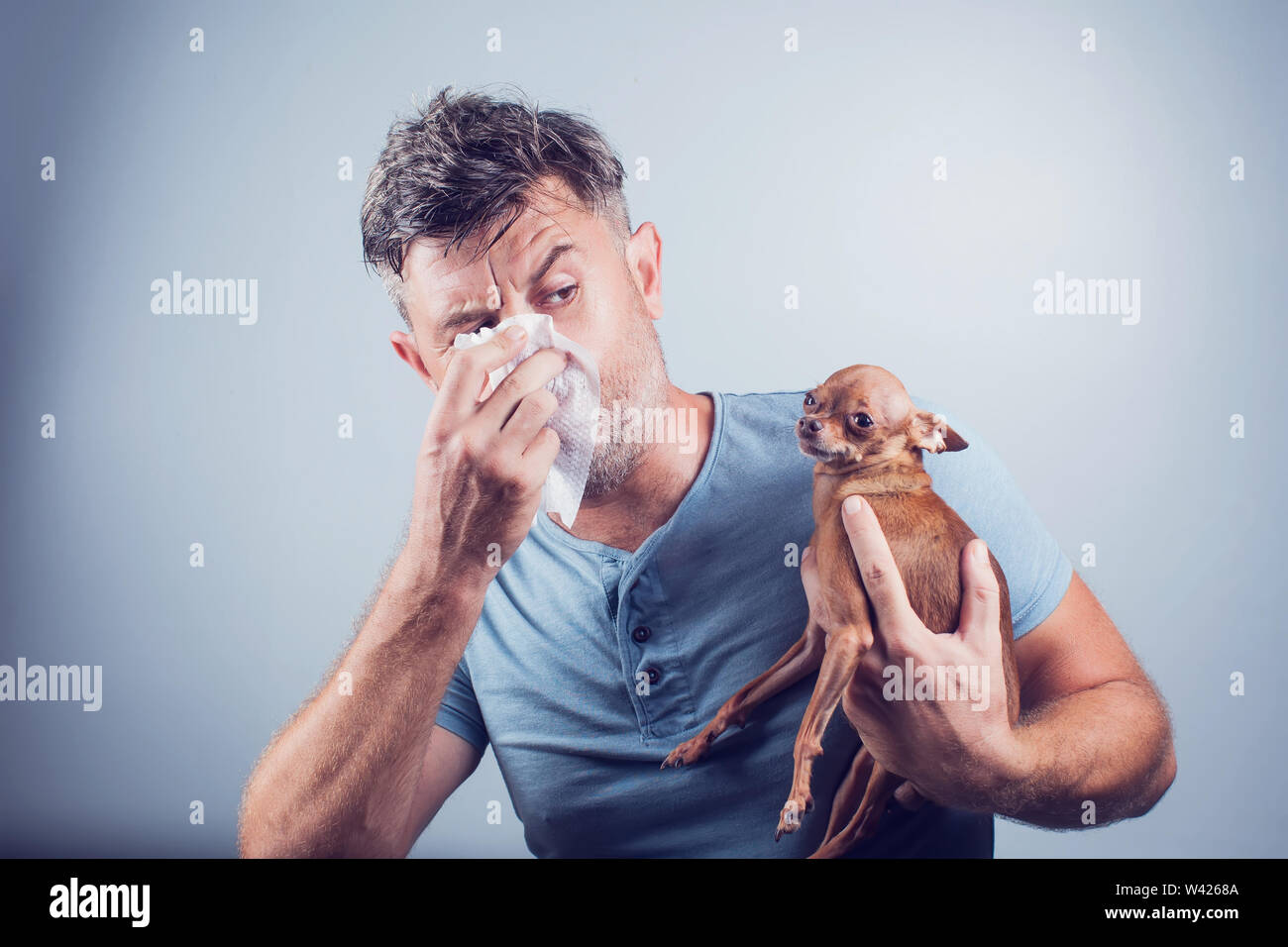 Man aventi pet i sintomi di allergia : naso che cola, asma Foto Stock