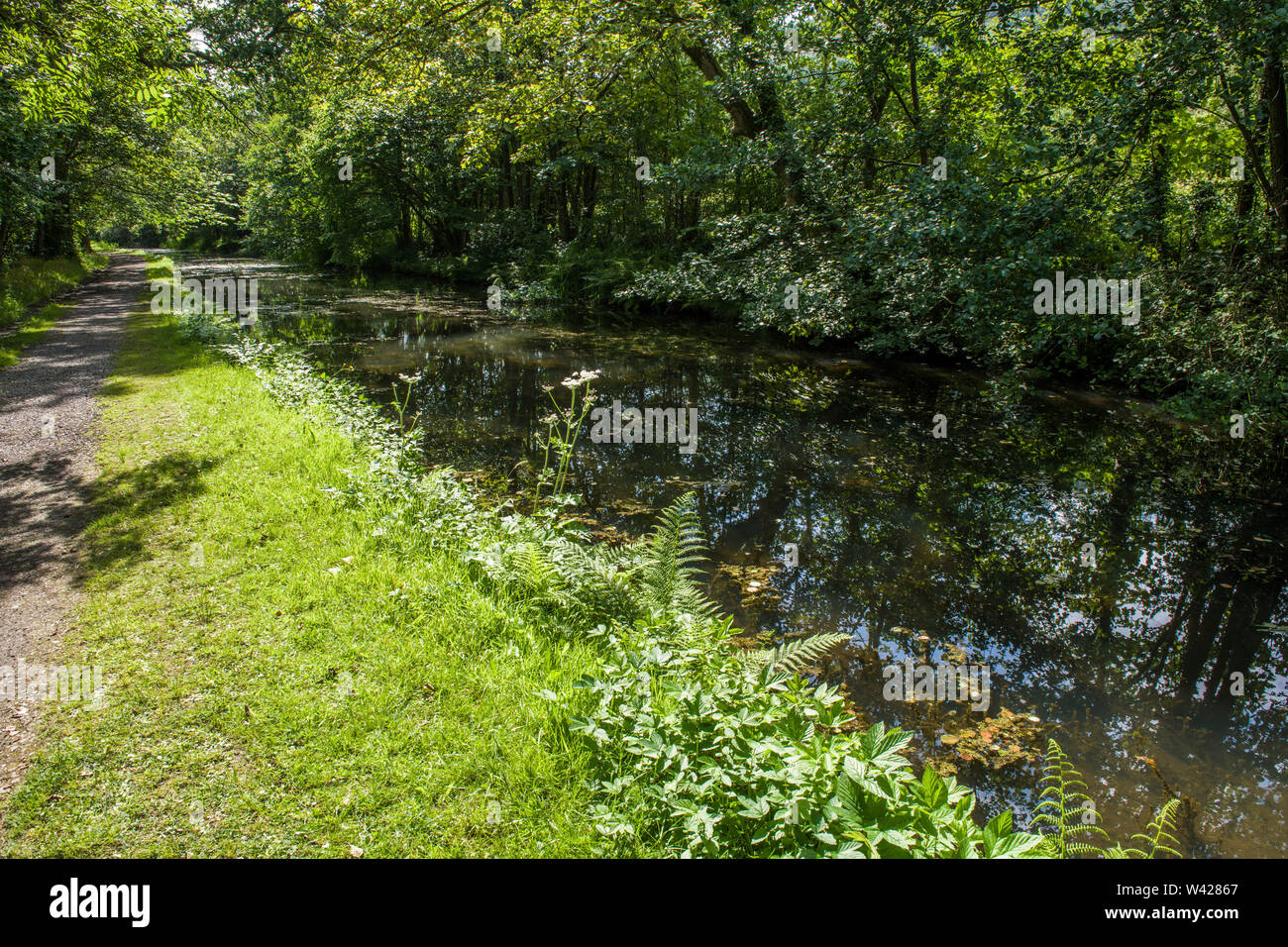 Il Neath, o Neath e Tennant, Canal nella valle di Neath tra Resolven Glynneath e. Il canale è in disuso ma ha molte caratteristiche interessanti. Foto Stock