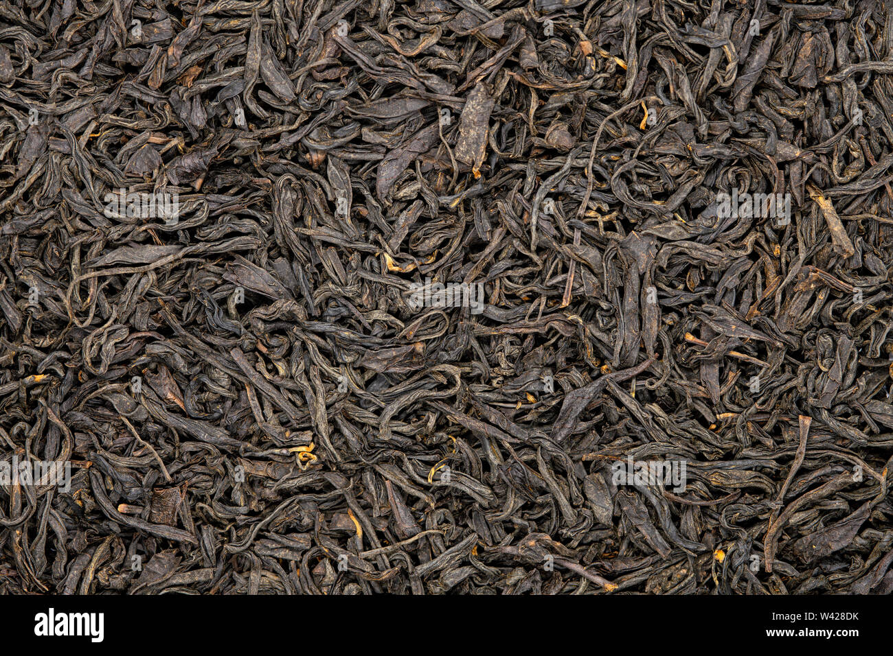 Lapsang Souchong tè, close up, macro. Fumato cinese del tè nero utilizzare per la perdita di peso, la caffeina alternative e di migliorare la salute del cuore. Foto Stock