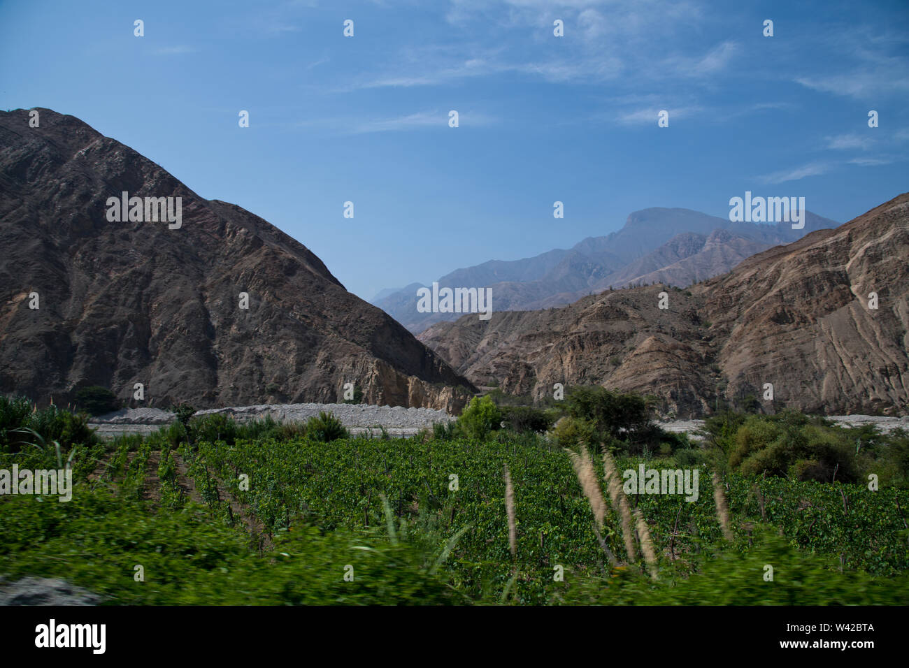 Huamachuco a Cajamarca,Nord del Perù Highlands,fioritura pendii,Perù,America del Sud Foto Stock