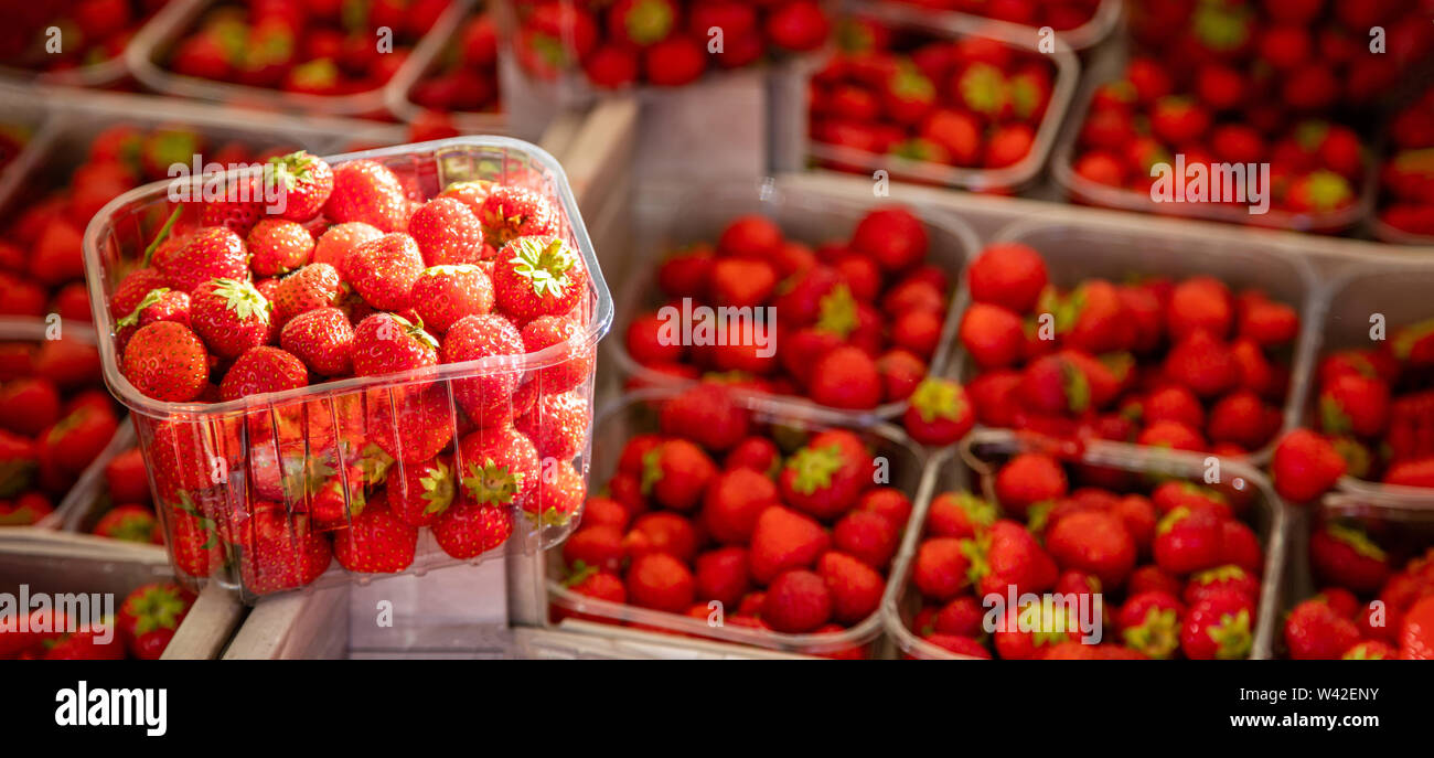 Le fragole in un recipiente di plastica al mercato degli agricoltori, fragole di sfocatura dello sfondo. Vista ravvicinata, spazio di copia Foto Stock
