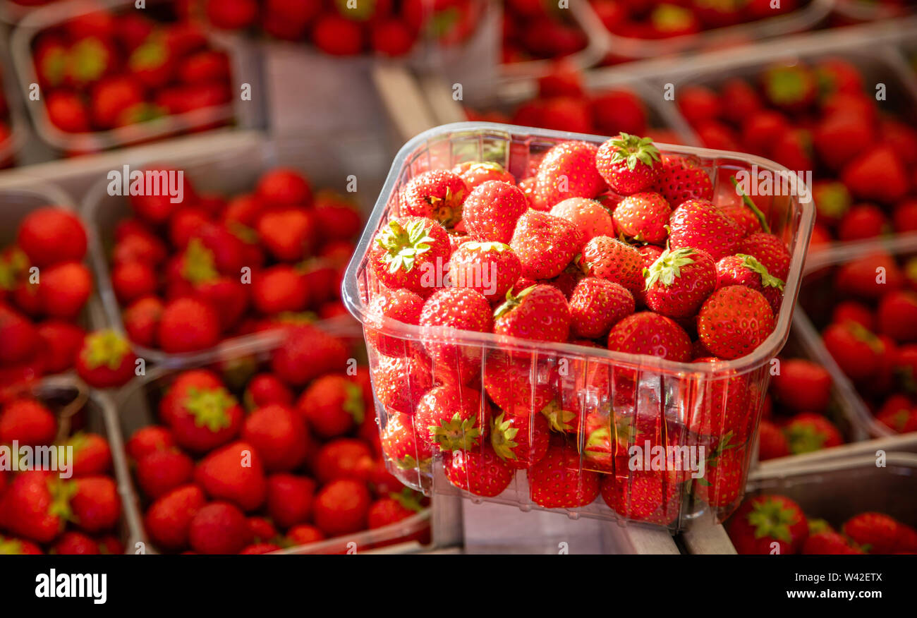 Le fragole in un recipiente di plastica al mercato degli agricoltori, fragole di sfocatura dello sfondo. Vista ravvicinata, spazio di copia Foto Stock