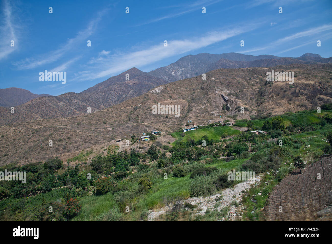 Huamachuco a Cajamarca,Nord del Perù Highlands,fioritura pendii,Perù,America del Sud Foto Stock