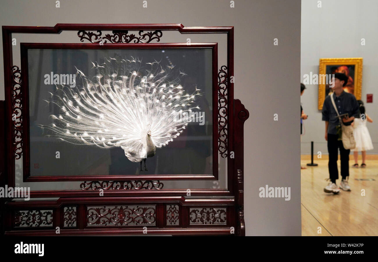 (190719) -- PECHINO, luglio 19, 2019 (Xinhua) -- la gente visita 'Splendide Cina -- i ricami di Suzhou elaborare opere d'Arte" mostra presso il Museo Nazionale d'arte della Cina (NAMOC) a Pechino, capitale della Cina, luglio 19, 2019. Apertura qui il venerdì, la mostra presenta una ricca collezione di opere di cinese di Suzhou ricamo maestri nell'epoca contemporanea. (Xinhua/Jin Liangkuai) Foto Stock