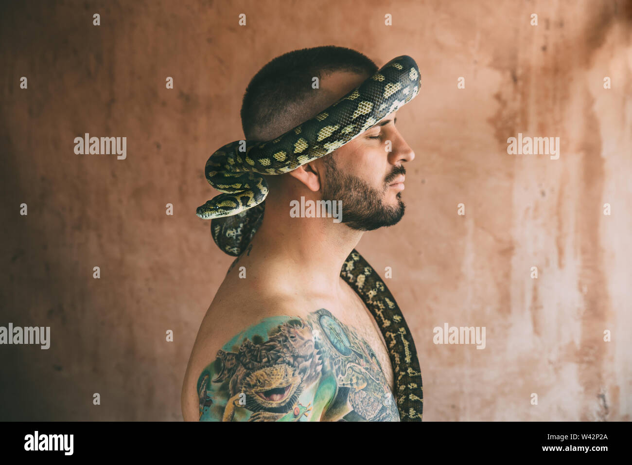 Serpente che circonda l'uomo la testa Foto Stock