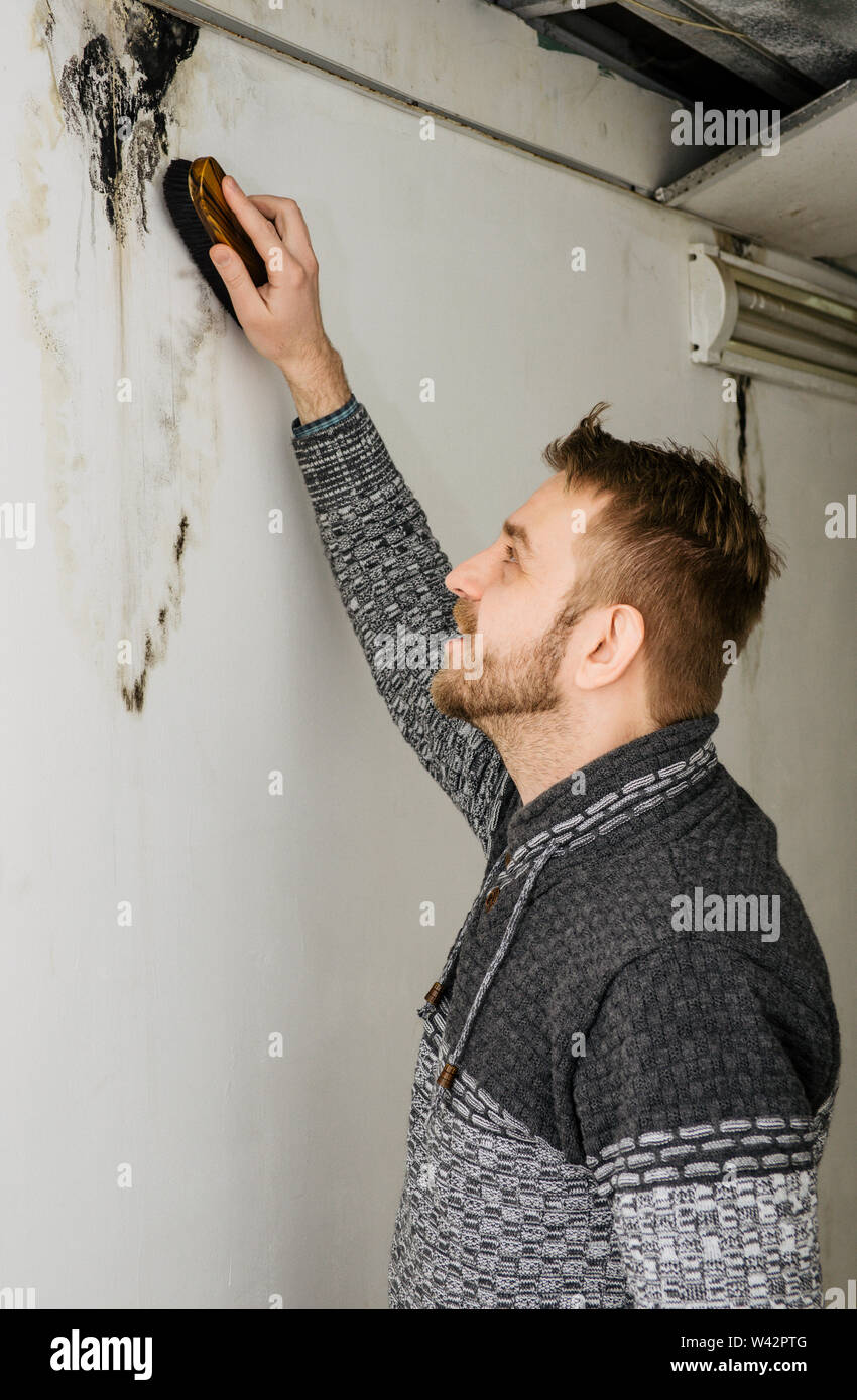 Uomo Barbuto rimuove la muffa nera sulla parete dopo la perdita - Immagine Foto Stock