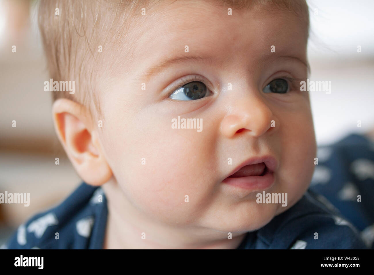 Carino chubby caucasica faccia bambino. Chiudere l'immagine. Foto Stock