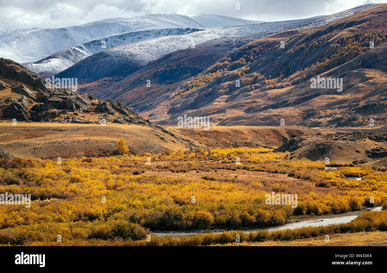 Piccolo fiume e in autunno la foresta di larici nelle montagne di Altai. Altai. La Russia Foto Stock