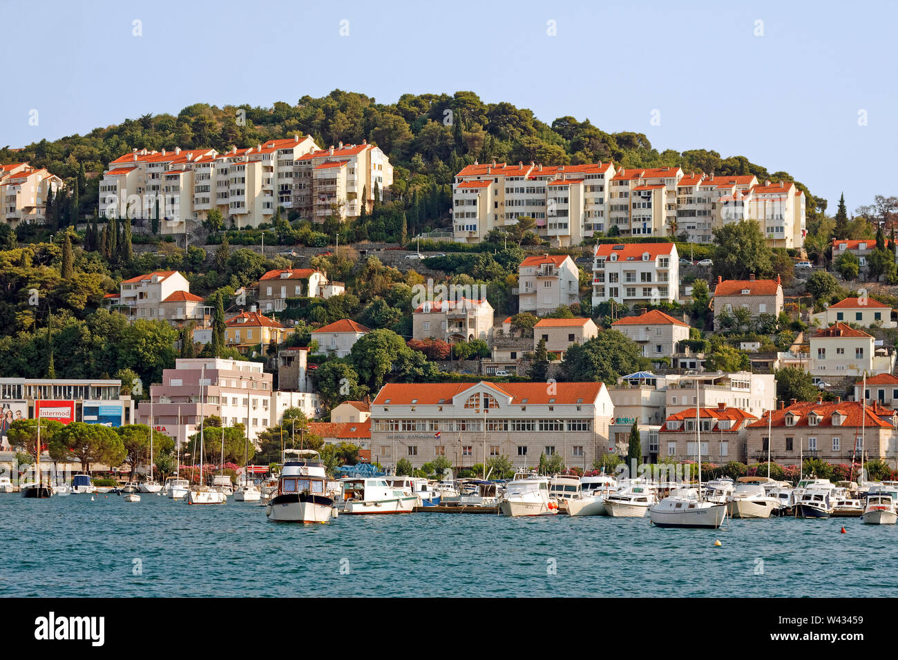Scena costiere, marina, barche, edifici, hillside, Dalmazia, mare adriatico, Porto di Dubrovnik; Gruz; Croazia; Europa; estate, orizzontale Foto Stock