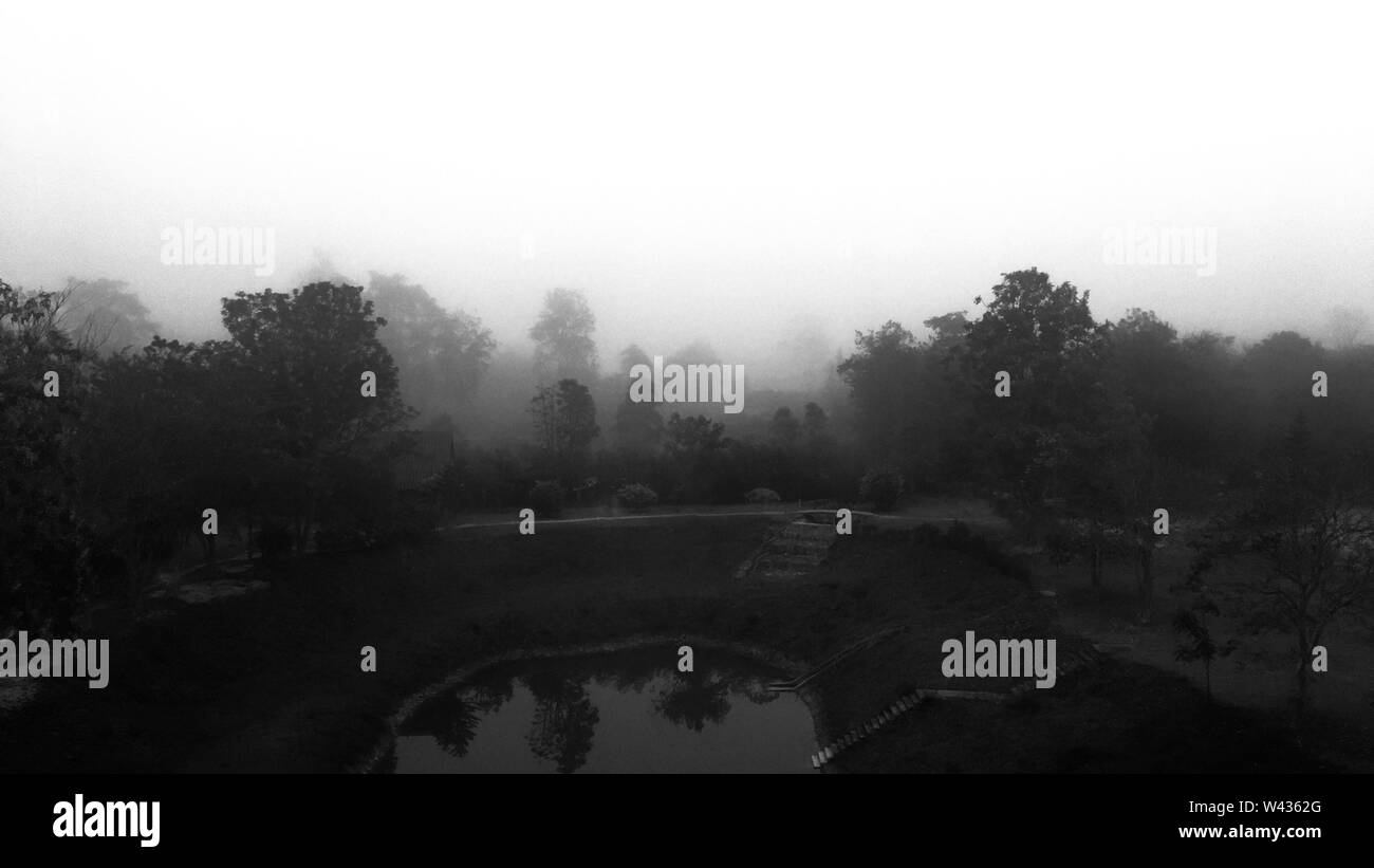 Bella foto scura di uno stagno in Thailandia con alberi e lo skyline coperto di nebbia profonda e nebbia Foto Stock