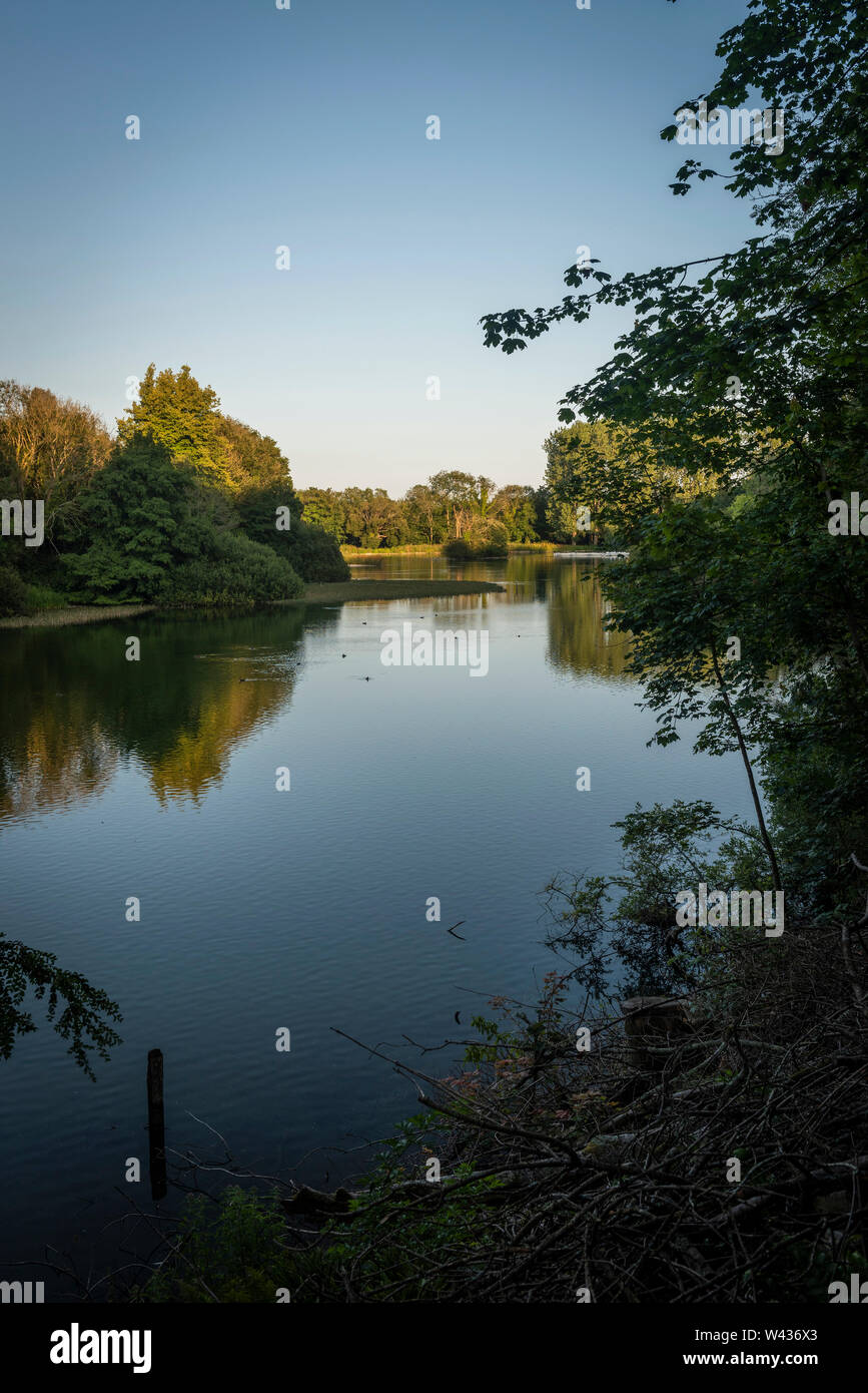 Swanbourne Lago in Arundel Park, West Sussex, Regno Unito Foto Stock
