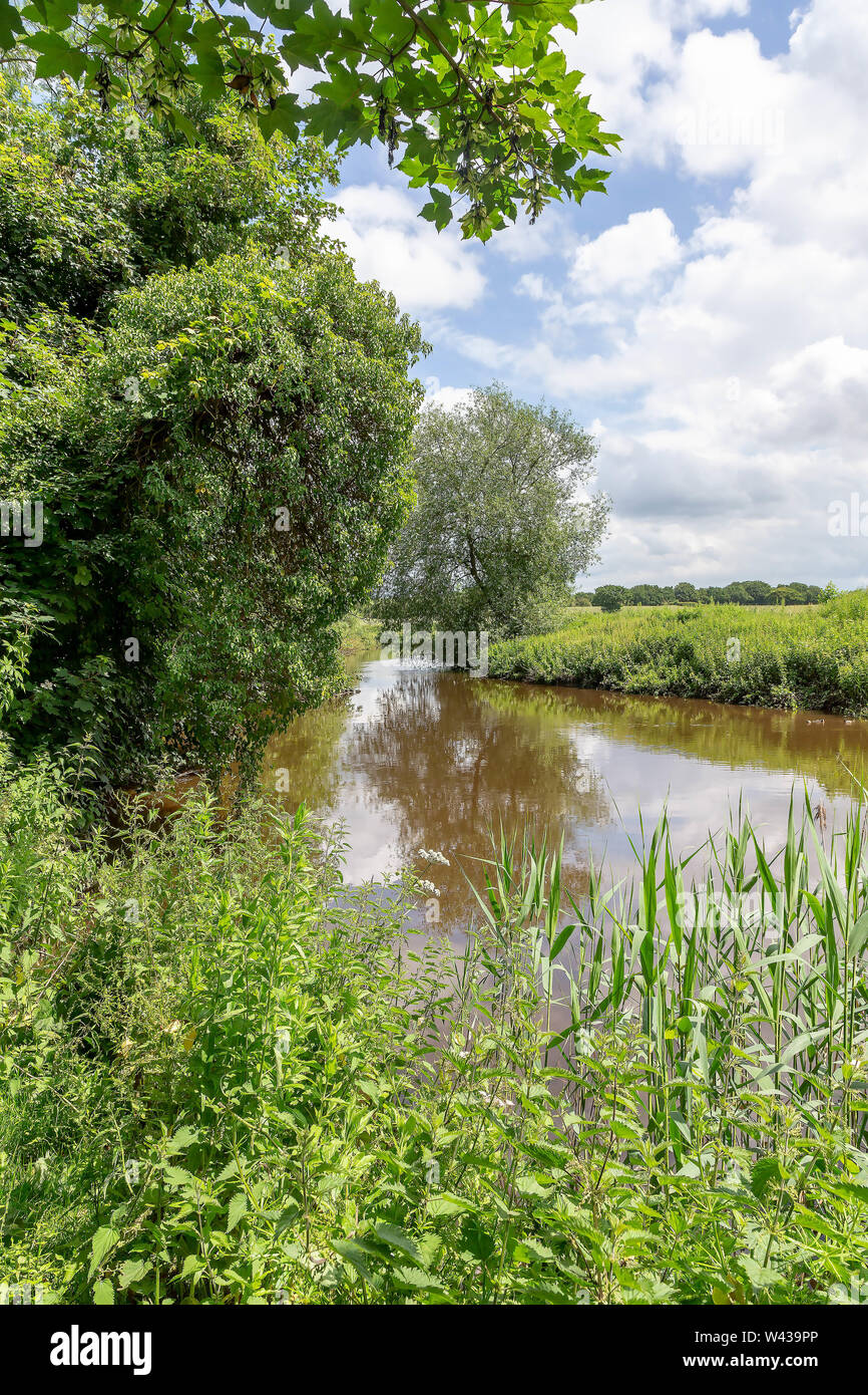 Fiume Weaver visto da Owley legno, parte del Cheshire Wildlife Trust Foto Stock