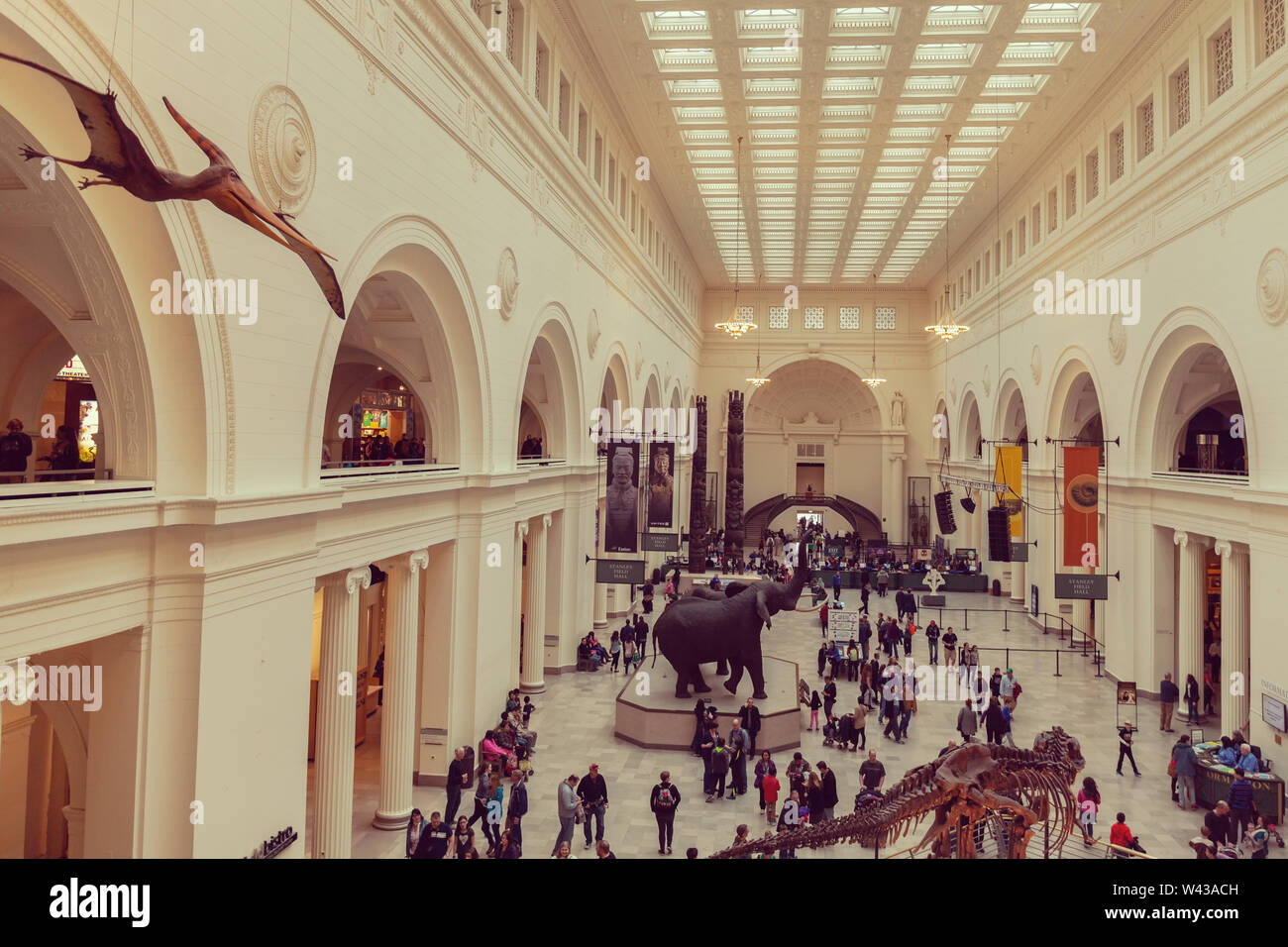 Chicago, Illinois, Stati Uniti d'America 12 Maggio 2017: un gran numero di visitatori nella sala del museo di campo a Chicago, Illinois. Foto Stock