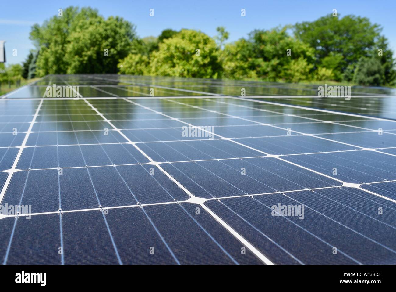 Alberi speculare riflessa su di una elettrica ad energia solare (fotovoltaica) sistema in campo per generare energia elettrica rinnovabile dalla luce solare, Wisconsin, STATI UNITI D'AMERICA Foto Stock