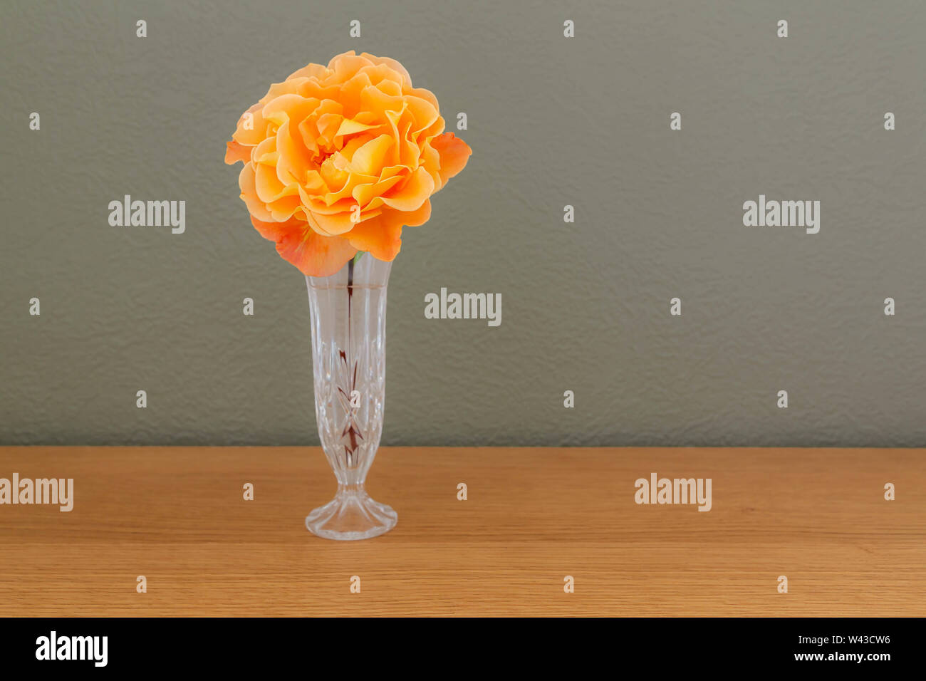 Un grande Whisky Mac Hybrid Tea Rose fiori recisi in un taglio vaso di vetro Foto Stock