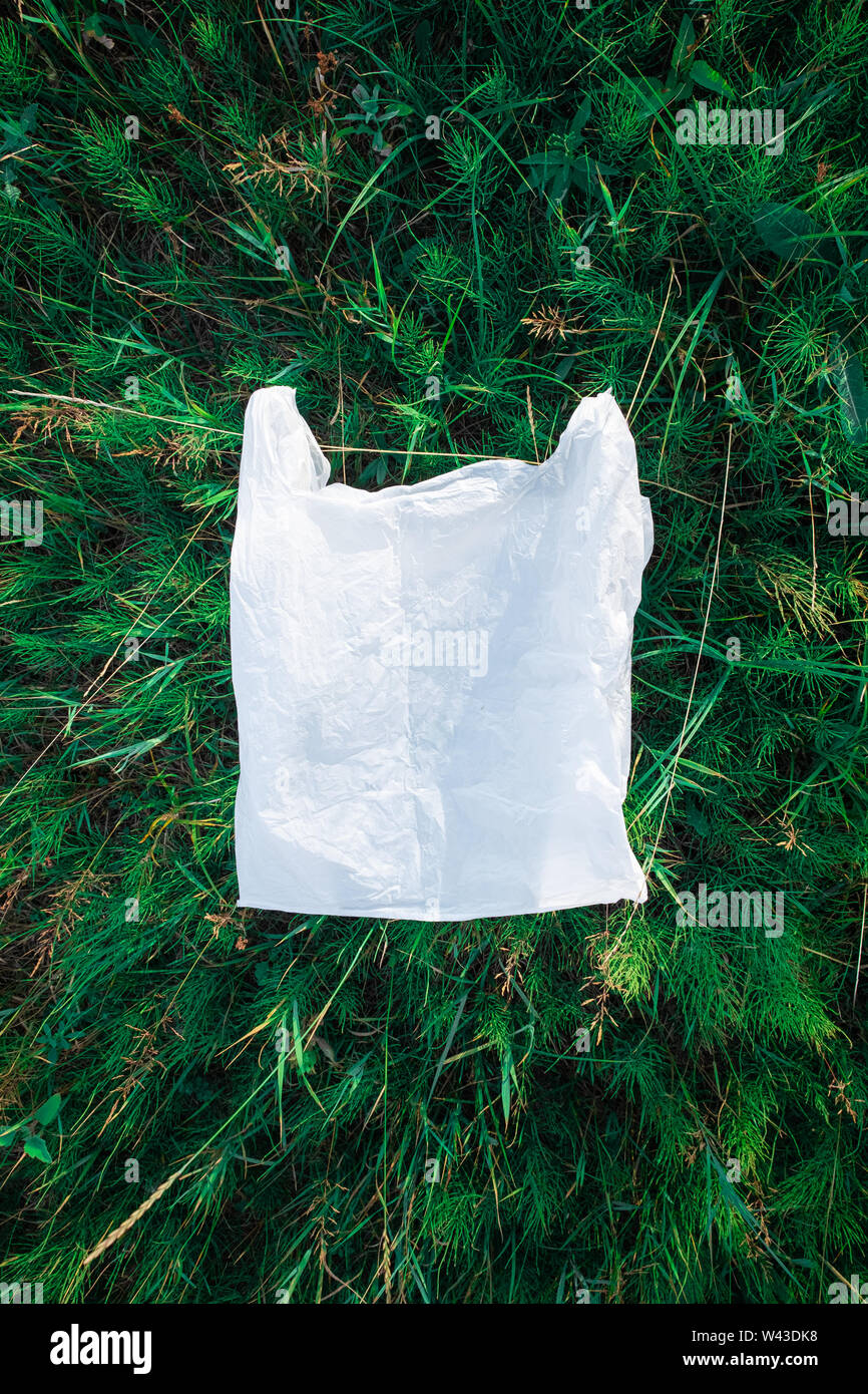 Sacchetto di plastica in erba verde, natura concetto dell'inquinamento. Pezzo di immondizia di plastica (vuoto confezione per alimenti) gettato su un prato Foto Stock