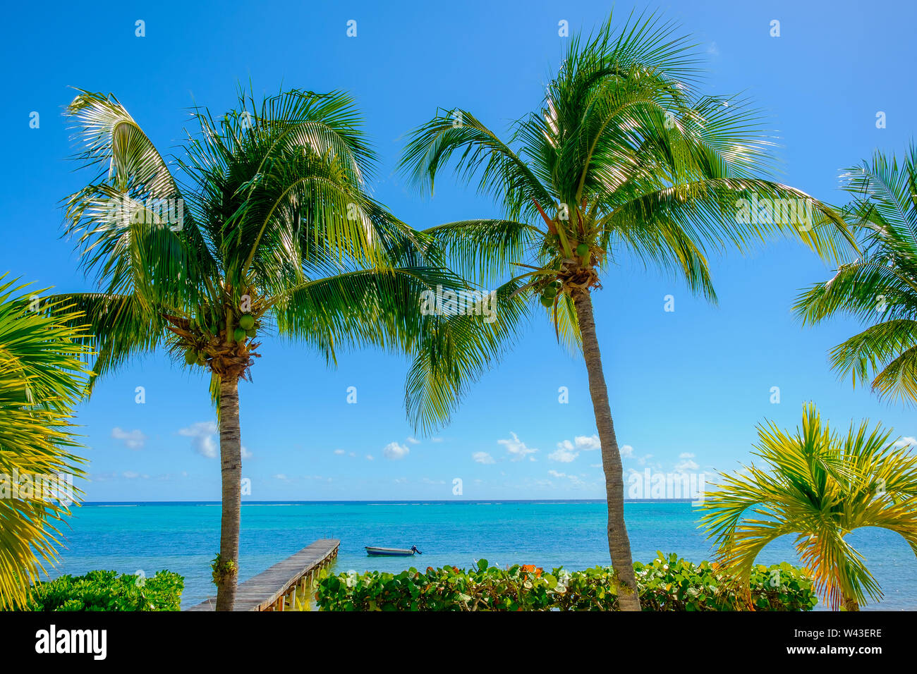 Vista del Mar dei Caraibi da una stanza sul foro del Sud Sound, Little Cayman, Isole Cayman Foto Stock