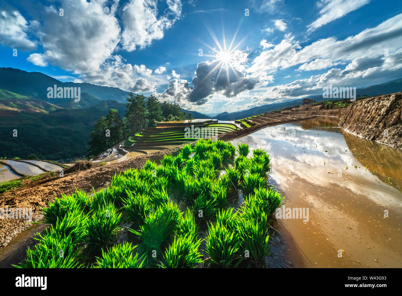 Il riso e l'acqua su terrazze Mu Cang Chai, Yen Bai, Vietnam stessa eredità di mondo Ifugao terrazze di riso in Batad, northern Luzon, Filippine. Vista aerea Foto Stock