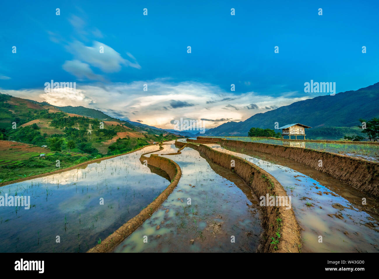 Il riso e l'acqua su terrazze Mu Cang Chai, Yen Bai, Vietnam stessa eredità di mondo Ifugao terrazze di riso in Batad, northern Luzon, Filippine. Vista aerea Foto Stock