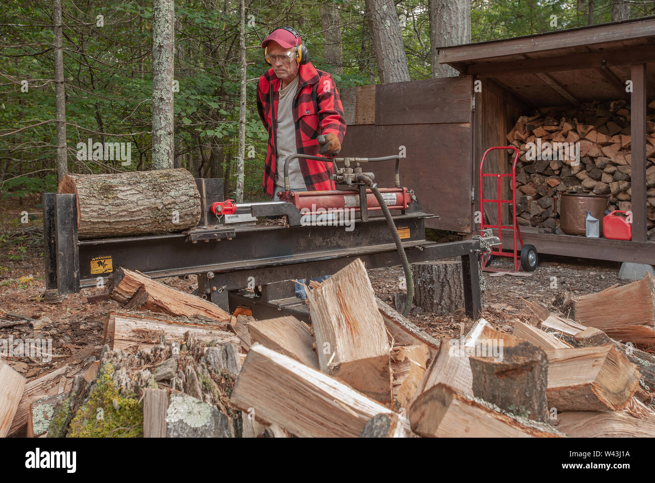 Lavoratore anziano idraulico utilizzando macchina spaccalegna essendo utilizzato per dividere grandi tronchi di legno Foto Stock