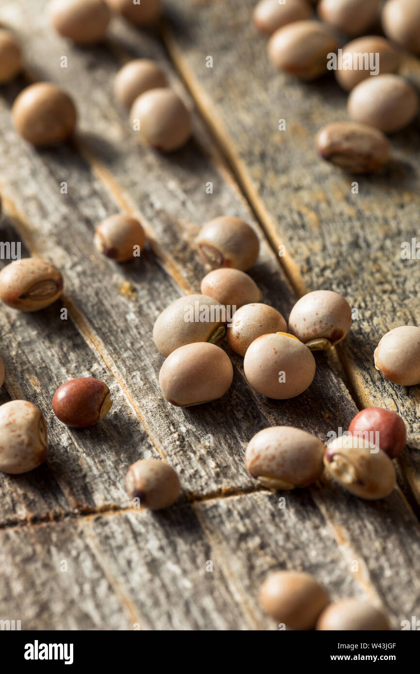 Organici Toor a secco tutto il piccione piselli in una ciotola Foto Stock