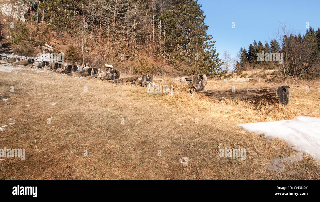 Vista del paesaggio di legno il canale di irrigazione sul prato con erba secca. Verde bosco in background. Korita, Istria, Croazia, Europa. Foto Stock